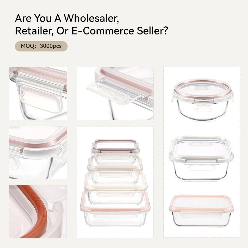 IKOO High Borosilicate Glass Food Container with PP Lid Microwave Safe