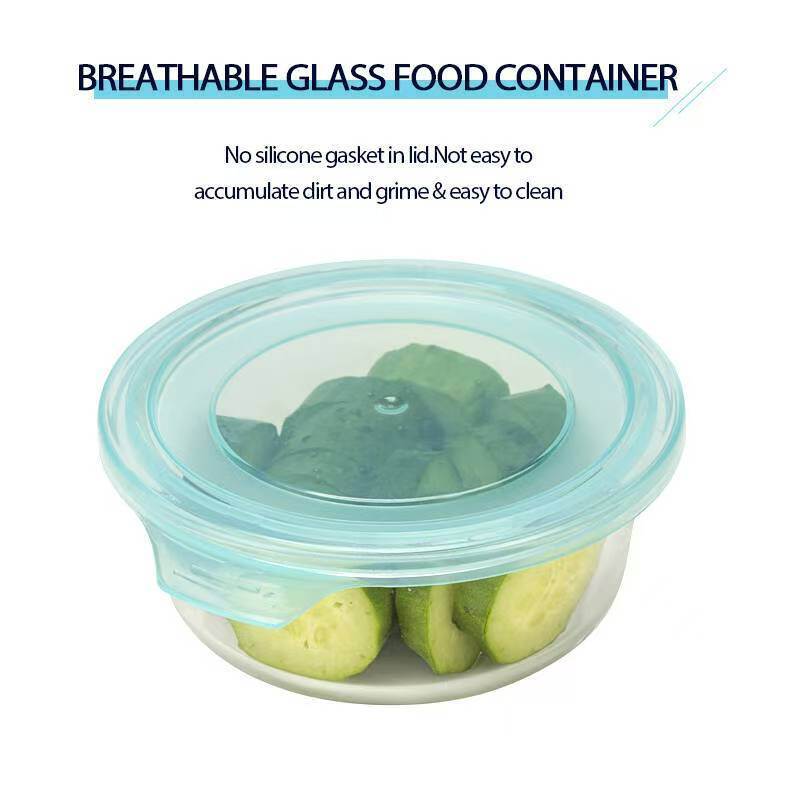 IKOO China Borosilicate Glass Lunch Box for Baking, Serving