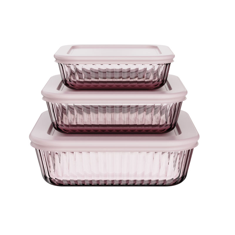 IKOO Colors Tinted Ribbed Design Glass Food Container for Prepping