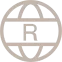 2009 icon
