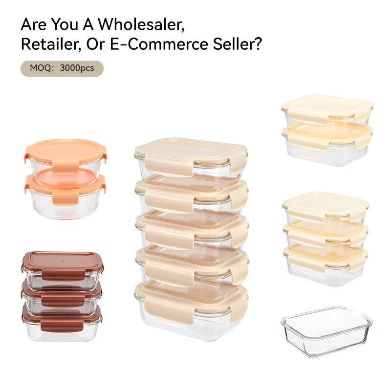 OEM/ODM Airtight & Leak Proof Lunch Box Glass with Lid