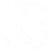 Global Full-Chain Professional Services