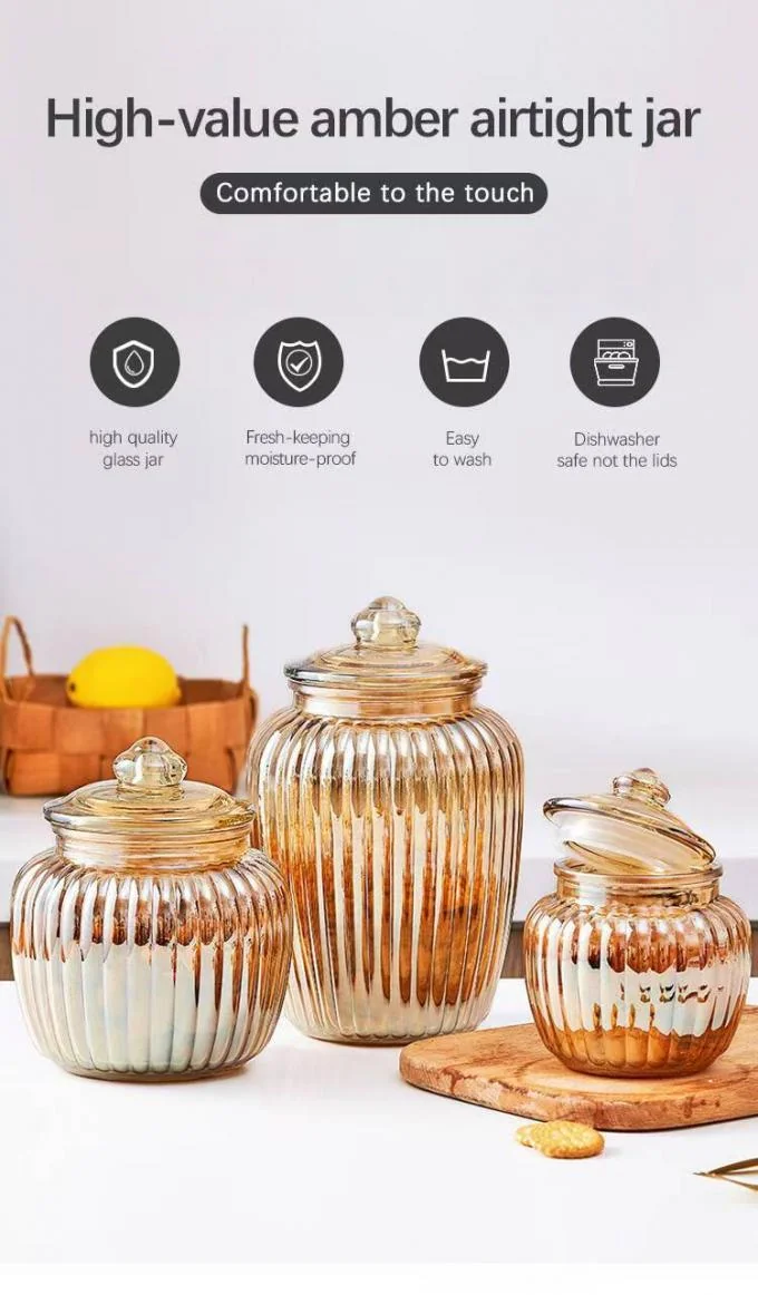 IKOO 600ml 1400ml 1900ml Glass Canister and Fermentation Jar for Food Storage with Airtight Lid 0