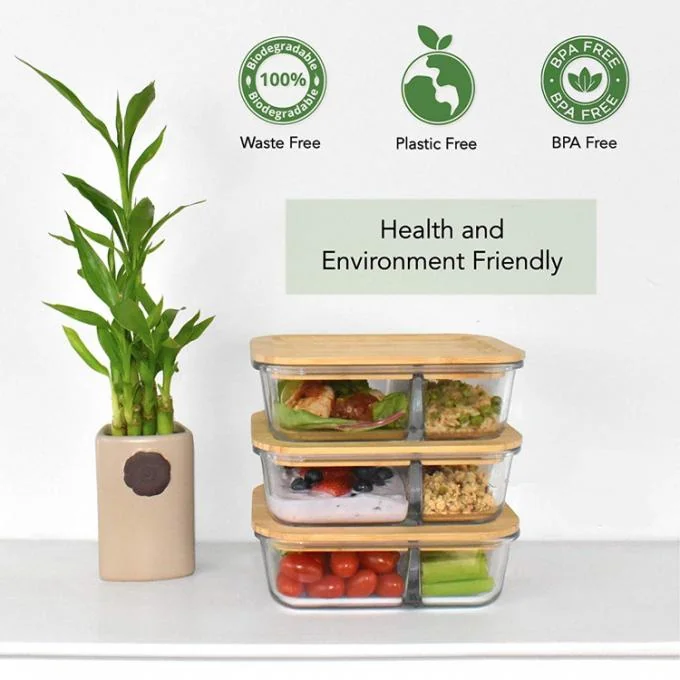 IKOO Bamboo Lid Divided Glass Container – Borosilicate Microwave Safe 0