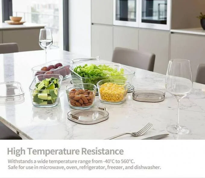 IKOO Borosilicate Glass Food Container Set 240ml-1370ml with Simple Lid 0