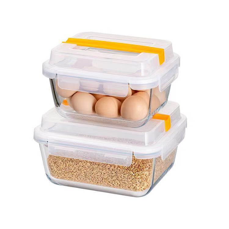 IKOO Extra Large Borosilicate Glass Food Storage Container with Airtight Lid and Handle