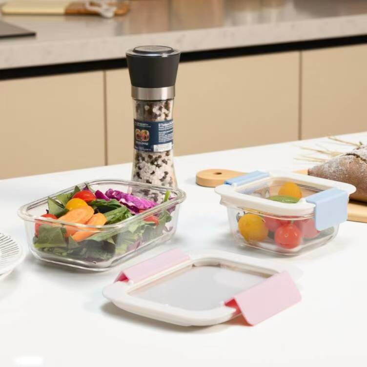 IKOO High Borosilicate Glass Food Container with 2-Lock PP Lid