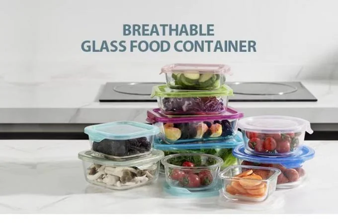 IKOO High Borosilicate Glass Food Container with PP Lid – Thermal Shock 120℃, Leak Proof, and Airtight for Safe Storage 0