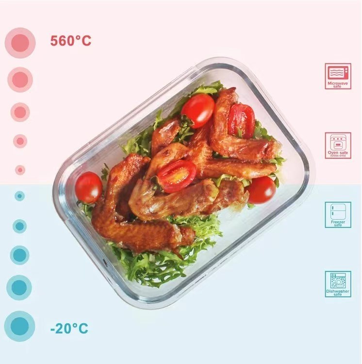 IKOO Easy Clean High Borosilicate Glass Food Container with PP Lid