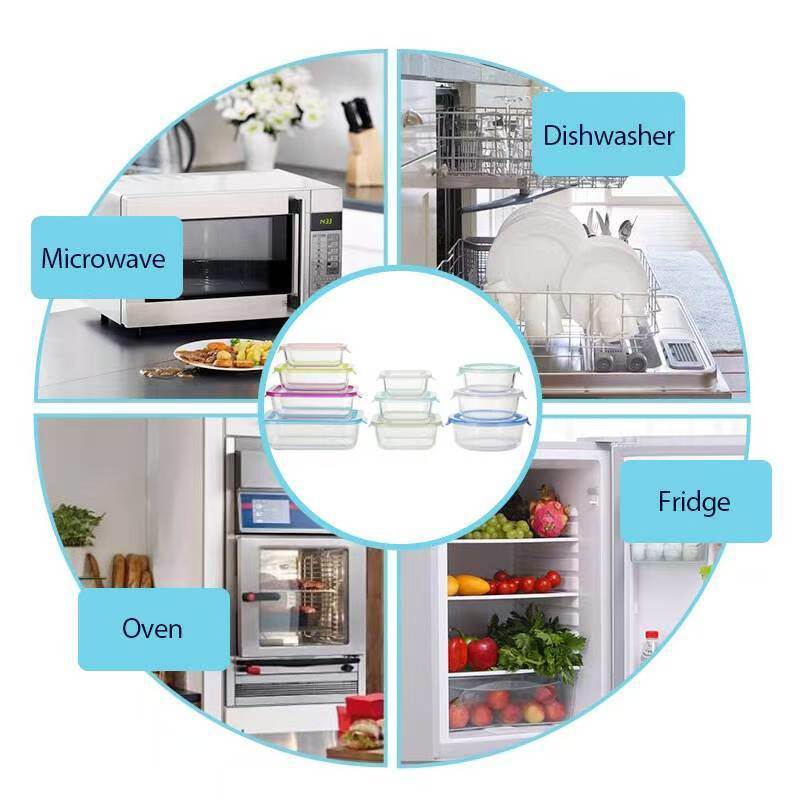 IKOO Easy Clean High Borosilicate Glass Food Container with PP Lid