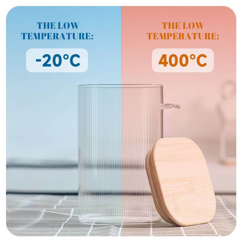 IKOO Ribbed Design High Borosilicate Glass Food Storage Jar with Bamboo Lid