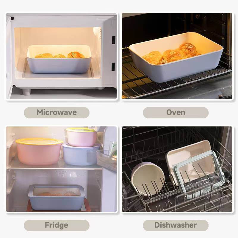 Non-stick Coating Borosilicate Glass Food Container with Airtight Glass Lid