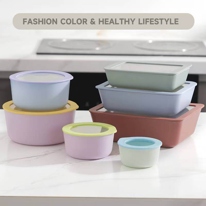 Non-stick Coating Borosilicate Glass Food Container with Airtight Glass Lid