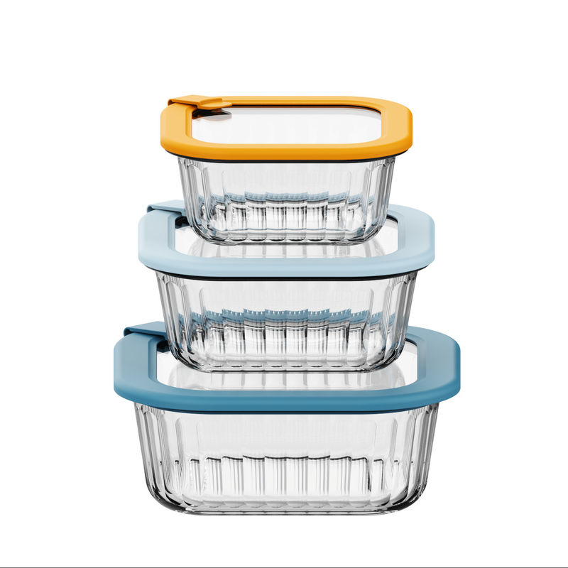 Oven Safe and Dishwasher Safe Glass Food Container with Freezer Safe Borosilicate Glass Lid